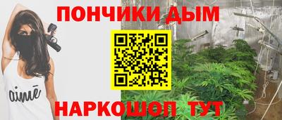 прущие грибы Новозыбков