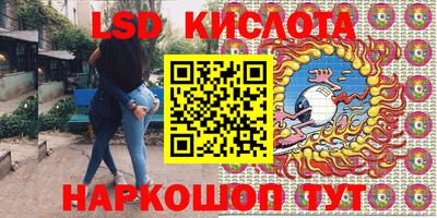 прущие грибы Новозыбков