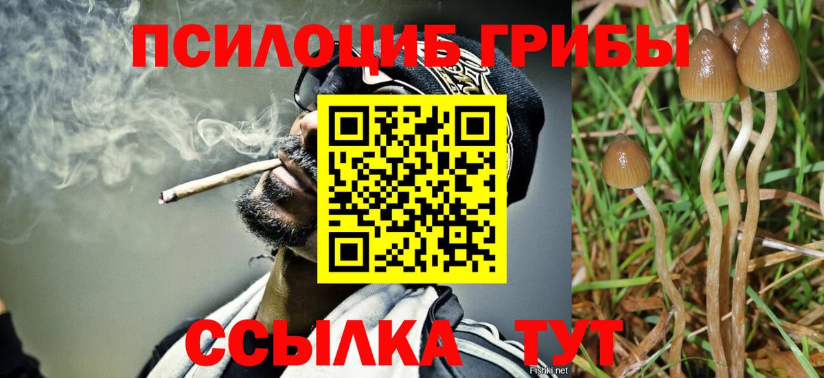 магазин  наркотиков  Вход с VPN  Саянск  Псилоцибиновые грибы мицелий 