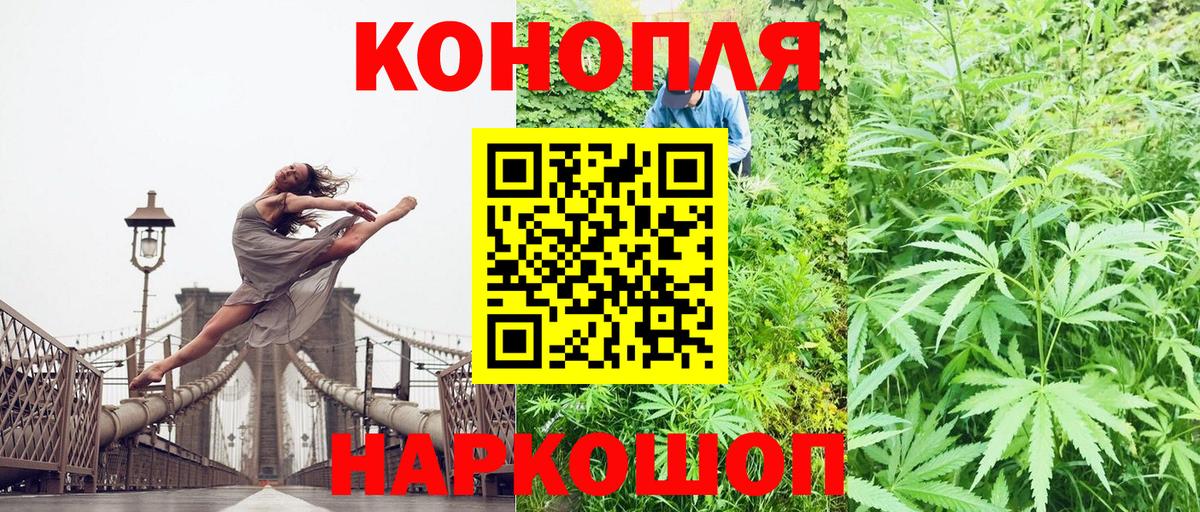 Бошки Шишки AK-47  Вход с VPN  Саянск  Бошки марихуана OG Kush  Марихуана сатива  Марихуана MAZAR 